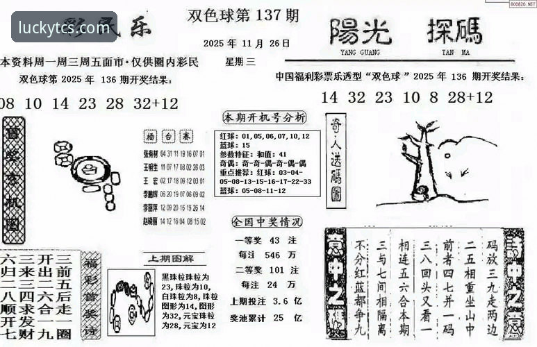 一位天天彩神老玩家的深度解析：网页版安全性与实战体验心得
