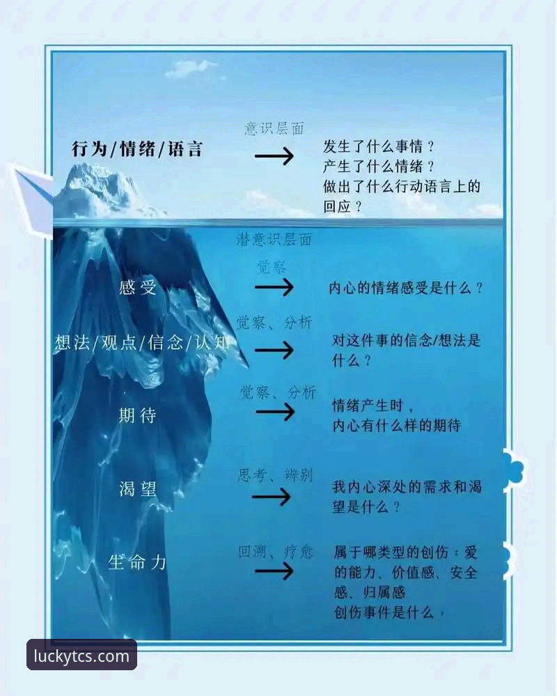 资深用户分享：拉菲尼亚受伤事件背后的层级博弈与团队定位思考